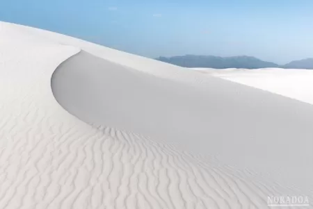 Belleza del desierto